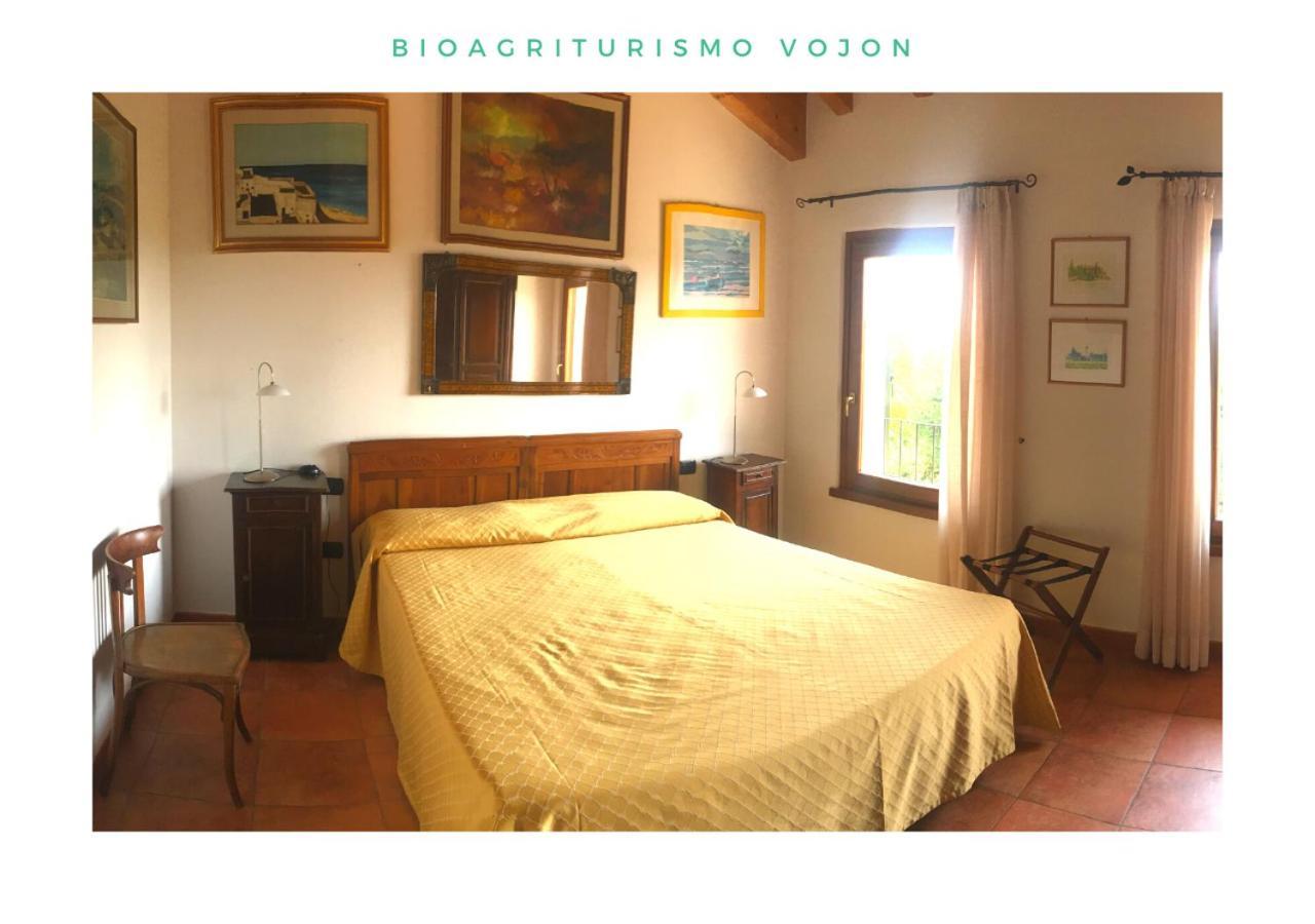 Bio Agriturismo Vojon Villa Ponti sul Mincio Dış mekan fotoğraf